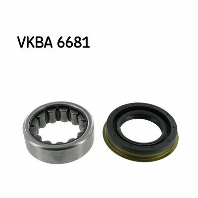 VKBA-6681 VKBA-6681