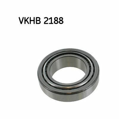 VKHB-2188 VKHB-2188