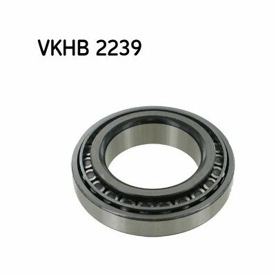 VKHB-2239 VKHB-2239