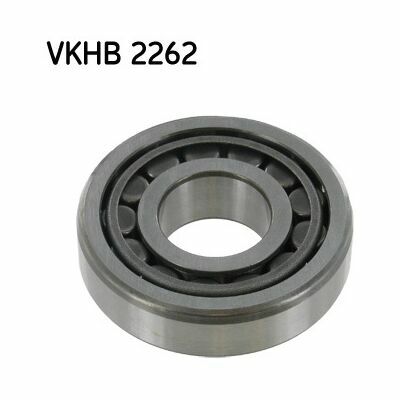 VKHB-2262 VKHB-2262