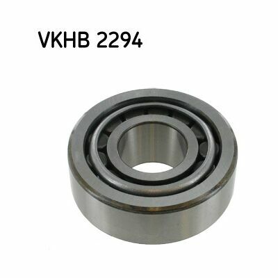 VKHB-2294 VKHB-2294