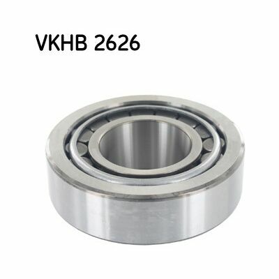 VKHB-2626 VKHB-2626
